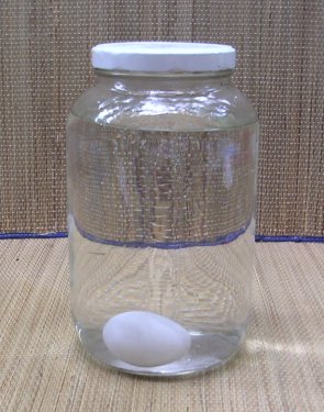 egg in glass